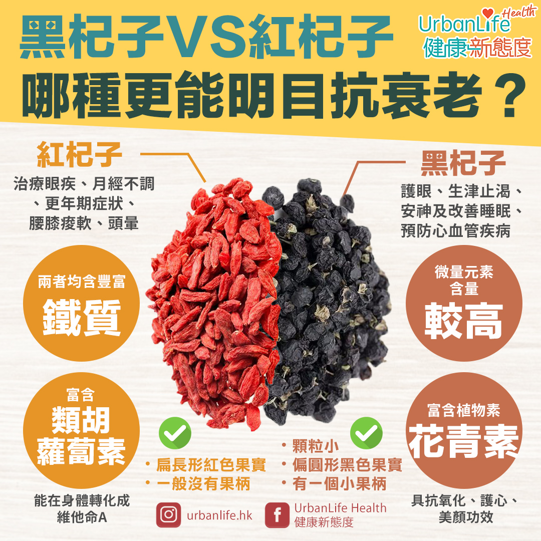 黑杞子、紅杞子哪種更有效明目抗衰老?