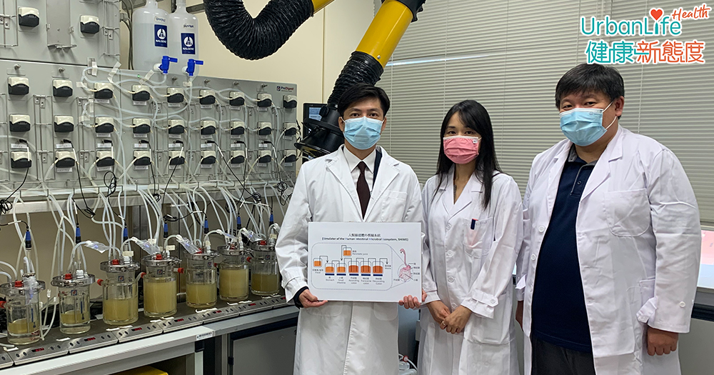 理大引入全港首部人類腸道體外模擬系統。