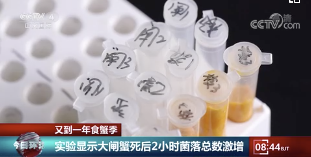 有電視台委託實驗室檢測發現,蟹死後2小時,菌落總數已大增22%。