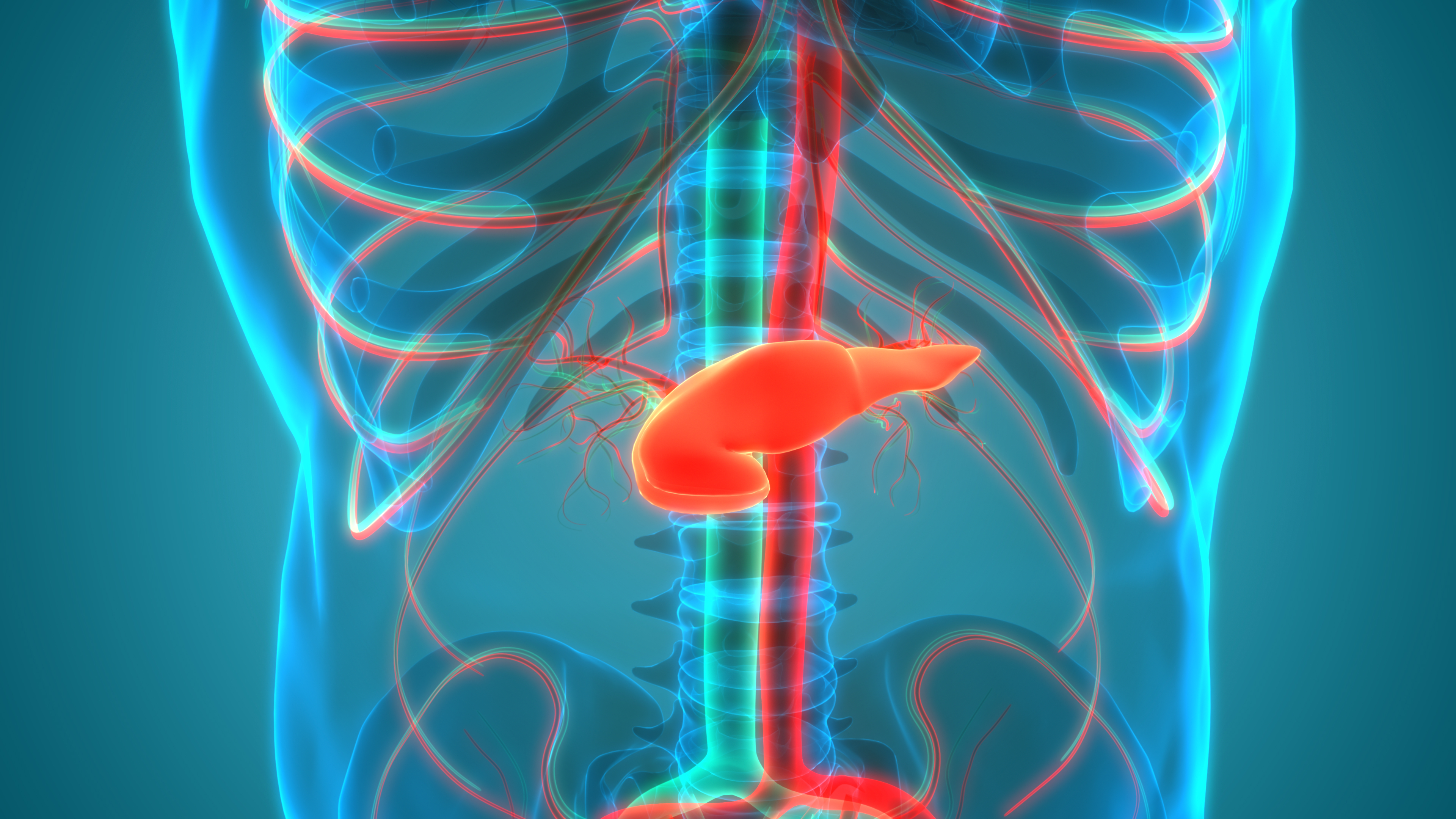 本港胰臟癌個案近年顯著增加,是全港致命癌症的第五位。