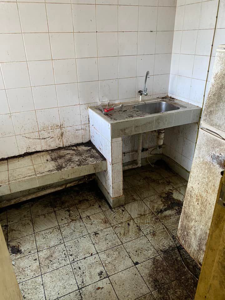 大埔富亨邨曱甴屋內滿地蟑螂。