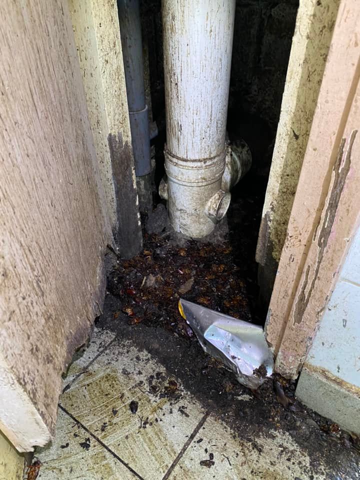 大埔富亨邨曱甴屋內衛生環境惡劣。