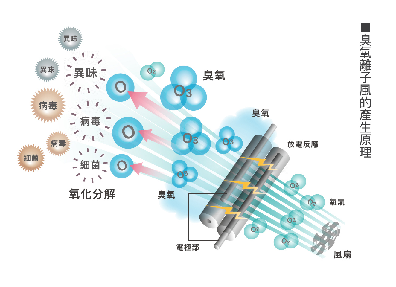 活氧有效從源頭分解細菌、病毒及氣味。