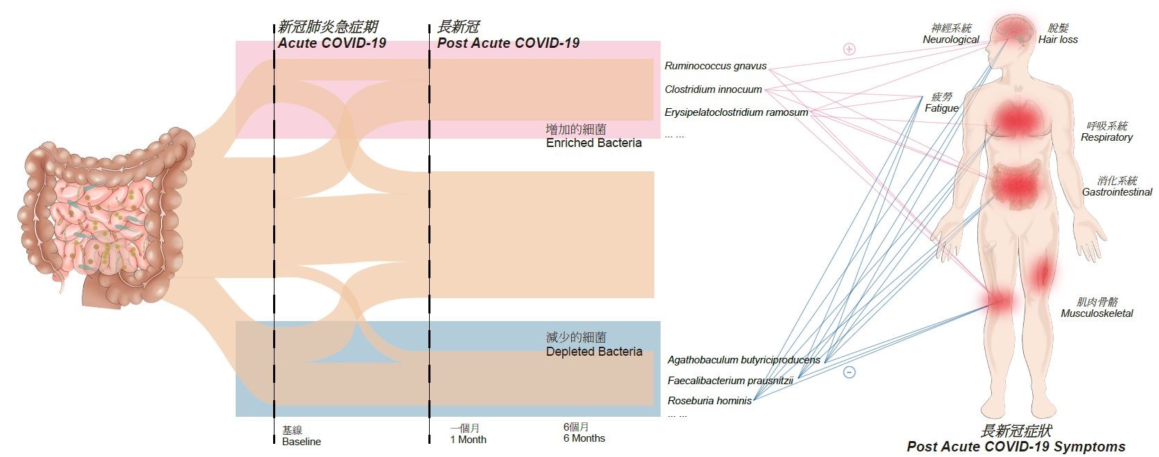 「長新冠」的國際定義指新冠肺炎患者在病毒清除後,至少有一種症狀持續四周或以上。