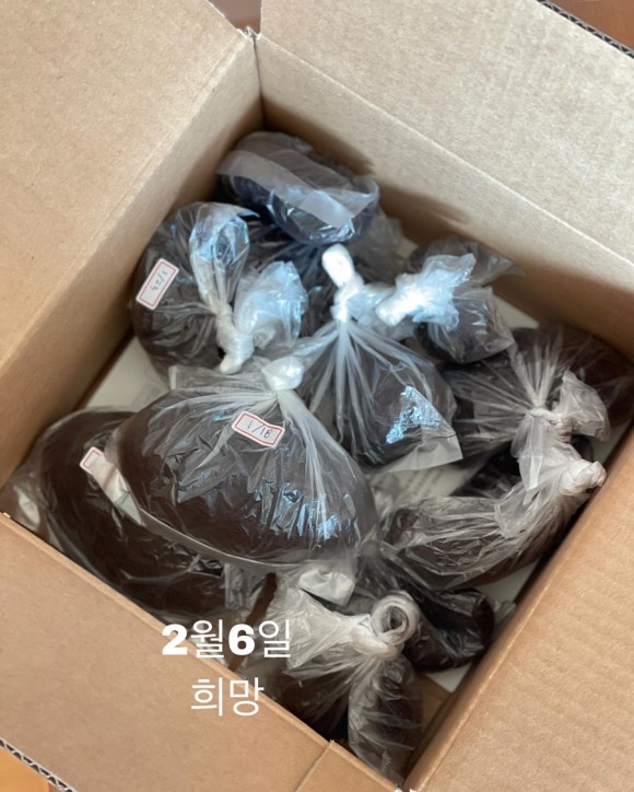 該女子母親更新貼文,並附上一袋一袋的掉髮照片,代表她女兒每天的掉髮量。