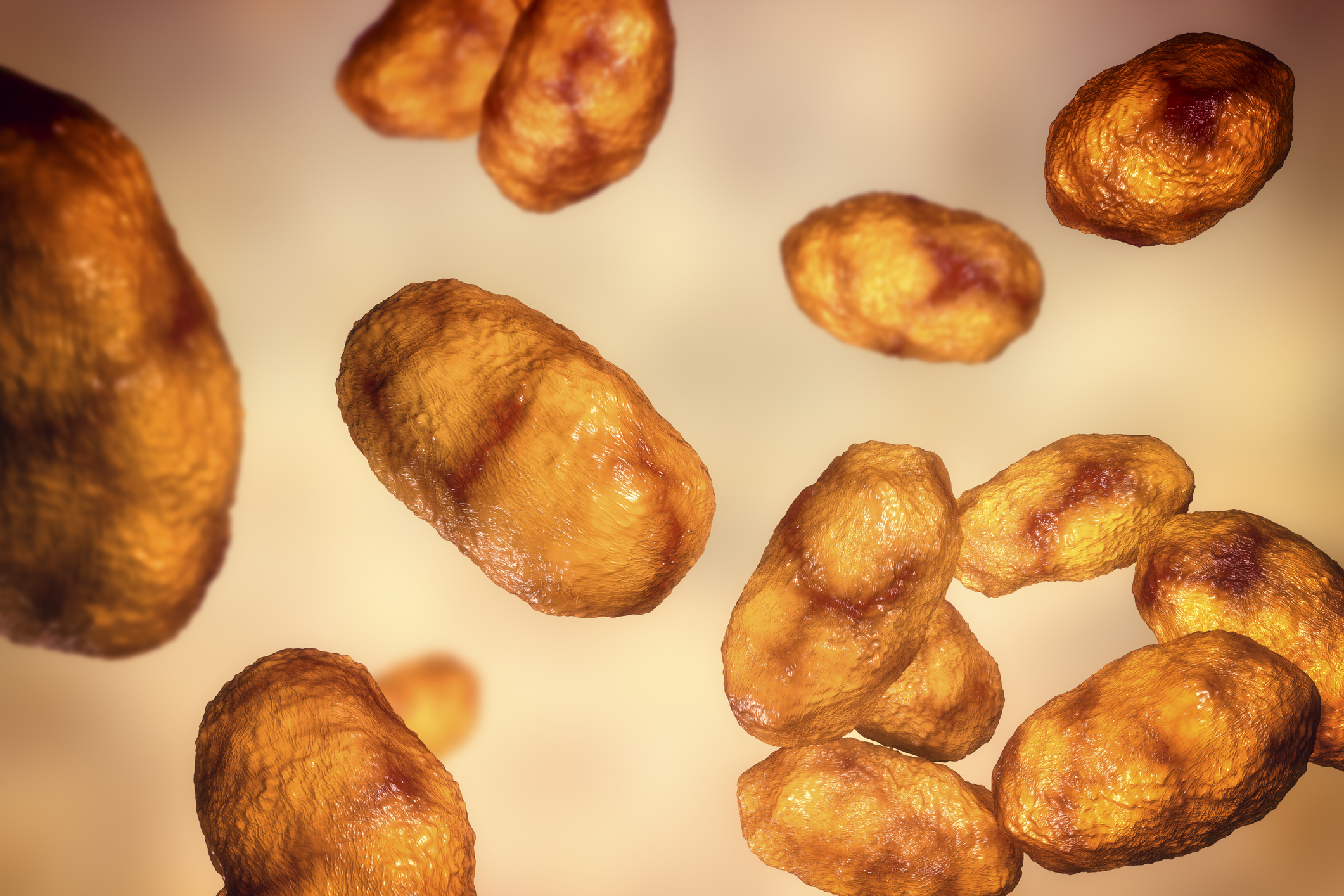 由於會厭炎通常因流感嗜血桿菌感染所致。