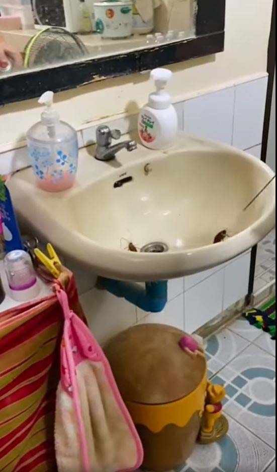 事主向洗手盆上方的溢水孔噴殺蟲水,未料在半分鐘後即湧出2隻大蟑螂。