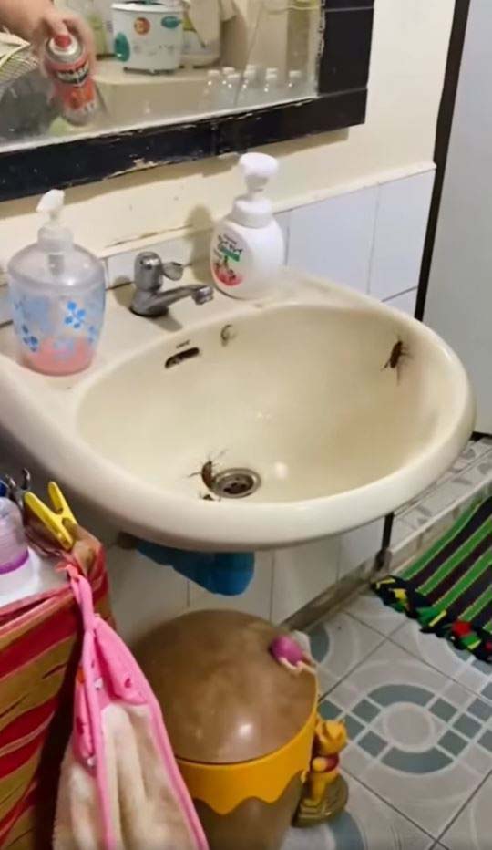 影片一出隨即引起網民討論,大批網民都直呼恐怖!