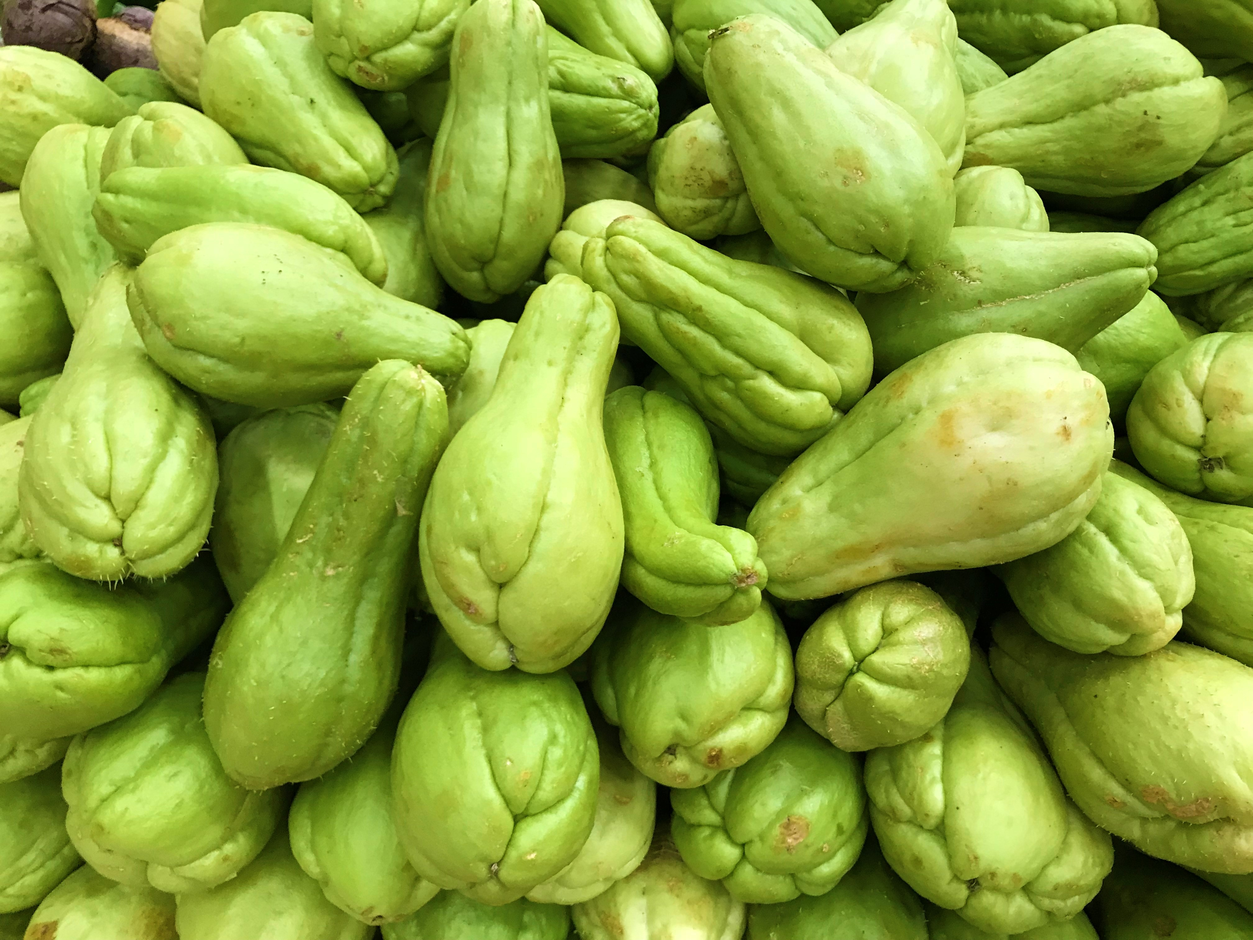 合掌瓜五指毛桃薏米湯,適合疲倦乏力、白痰量多、容易咯出人士。