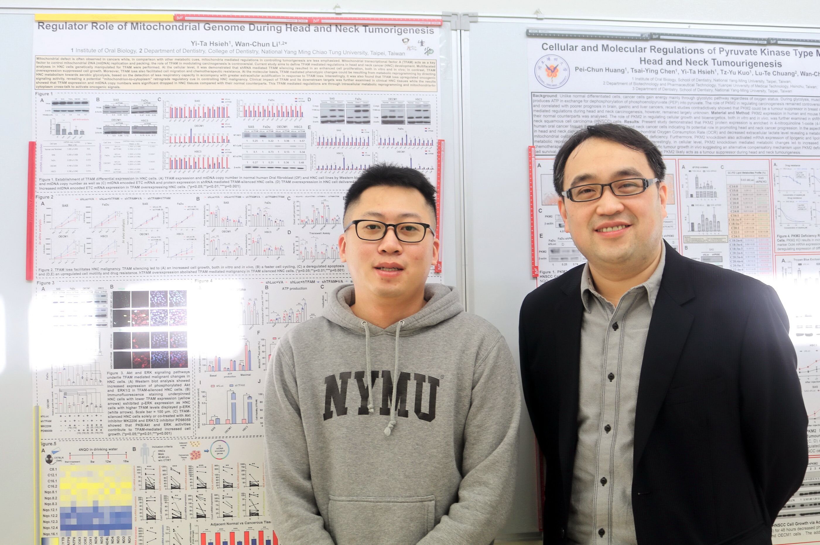 陽明交大口腔生物研究所教授黎萬君和謝宜達博士從細胞代謝的角度切入,研究粒線體基因調控對頭頸癌細胞特性的影響,獲得重大成果。