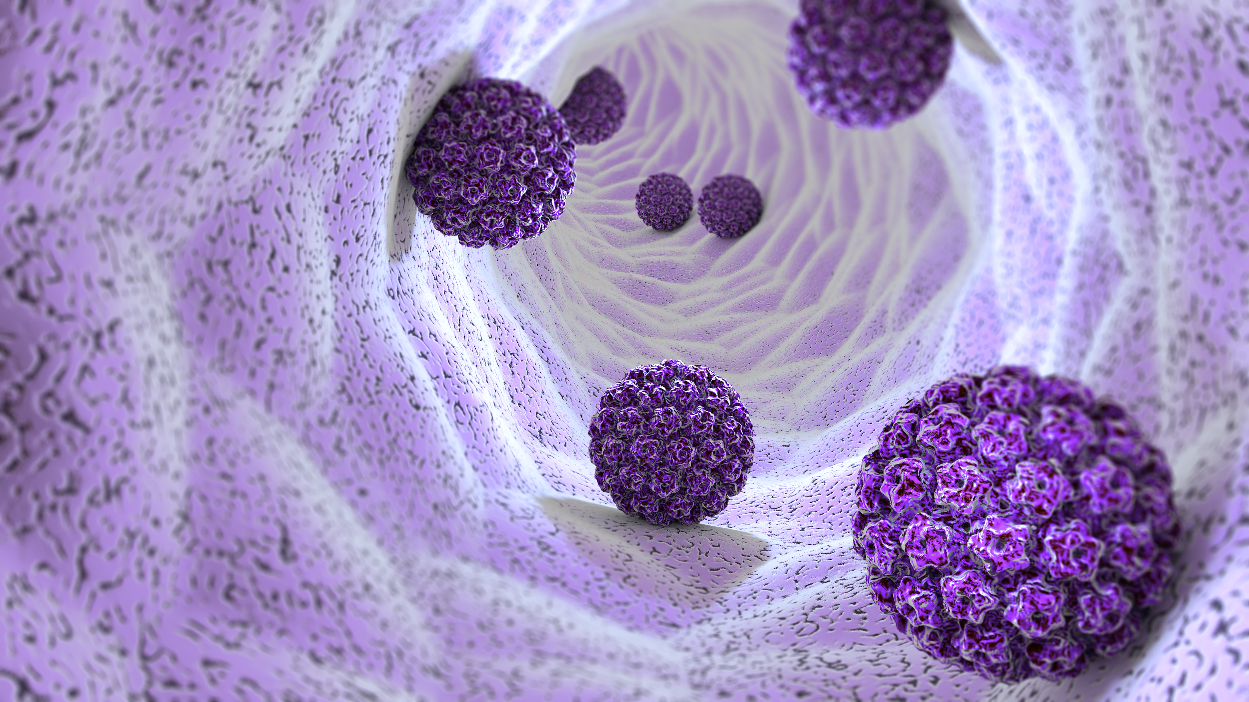 子宮頸癌的主要原因是透過性行為感染人類乳突病毒(HPV)所致,但超過80%的人在感染後會自動痊癒。