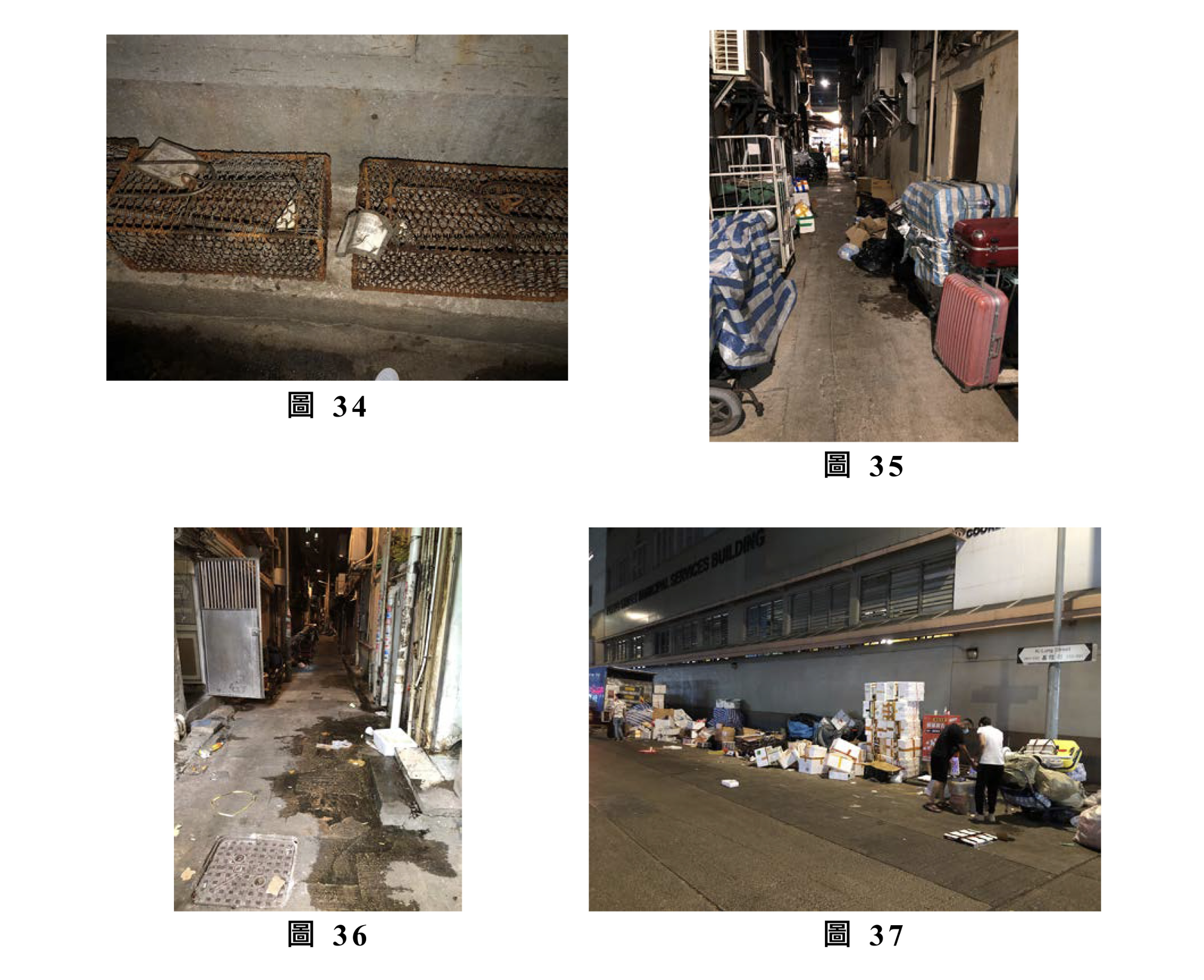 申訴專員公署日前主動調查食環署的防治鼠患工作,認為「鼠患指數」不足以反映鼠患實況。