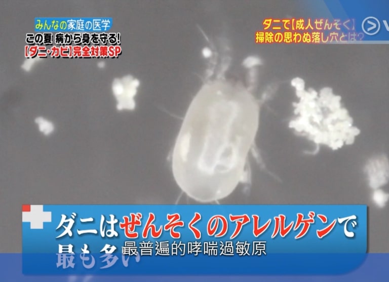 日本節目《恐怖醫學》對塵蟎進行了一系列的研究,發現一張被暗藏數十萬塵蟎。