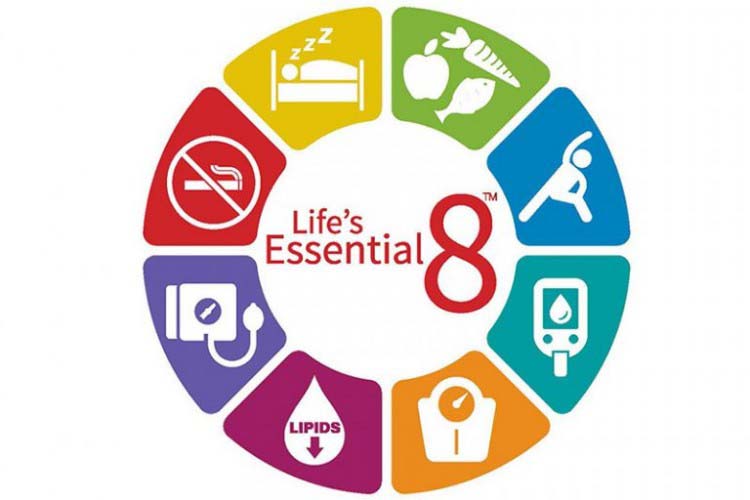 美國心臟協會(American Heart Association,AHA)近日公布了「生命8大要素」(Life's Essential 8)。