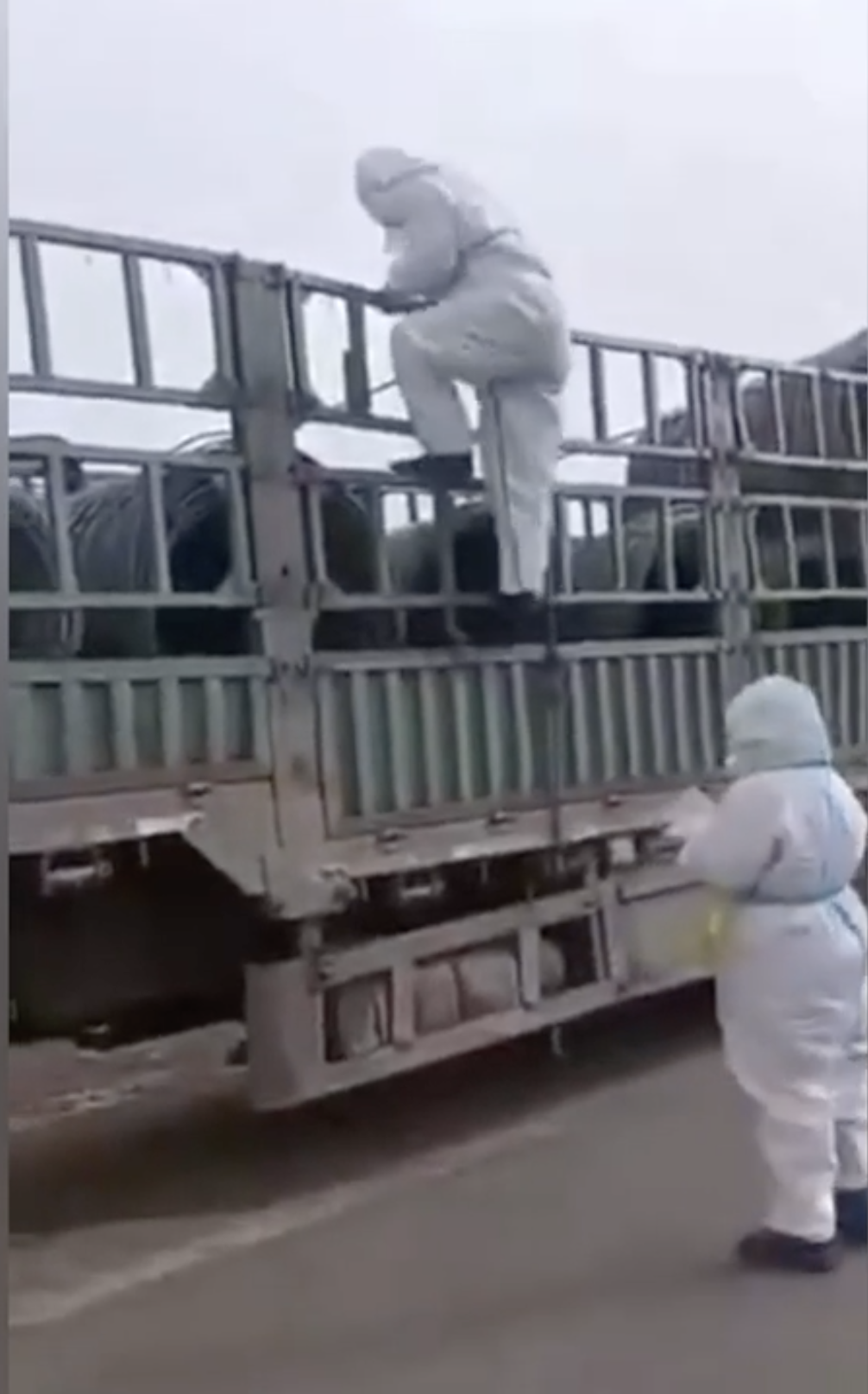 內地網傳片段，防疫人員登上車斗對鋼筋等進行採樣。