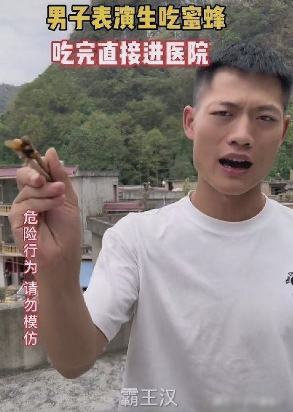 內地一名抖音男網紅,竟為了流量拍片表演「生吞蜜蜂」。