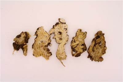 烏頭鹼是一種烏頭類生物鹼,存於多種植物,常見於中藥材生川烏、生草烏和生附子等,若不當使用,會導致中毒。