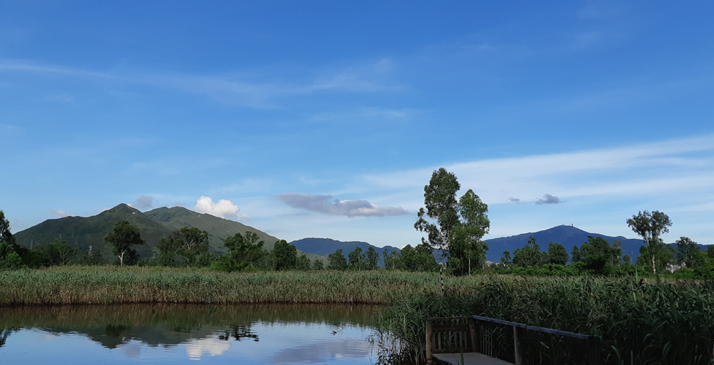 蜿蜒的山貝河、茂密的蘆葦叢及紅樹林更吸引到大批的攝影愛好者到訪。
