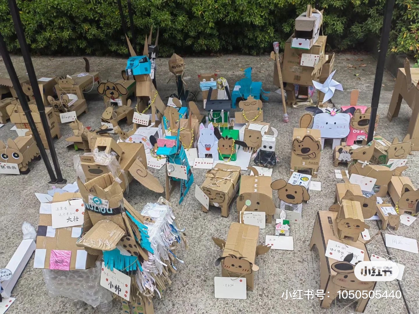 許多紙盒狗參加遛狗大賽。