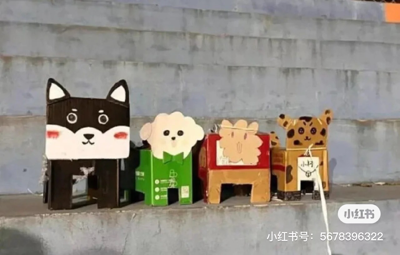 疫情下精神苦悶中國大學生流行養「紙盒狗」。