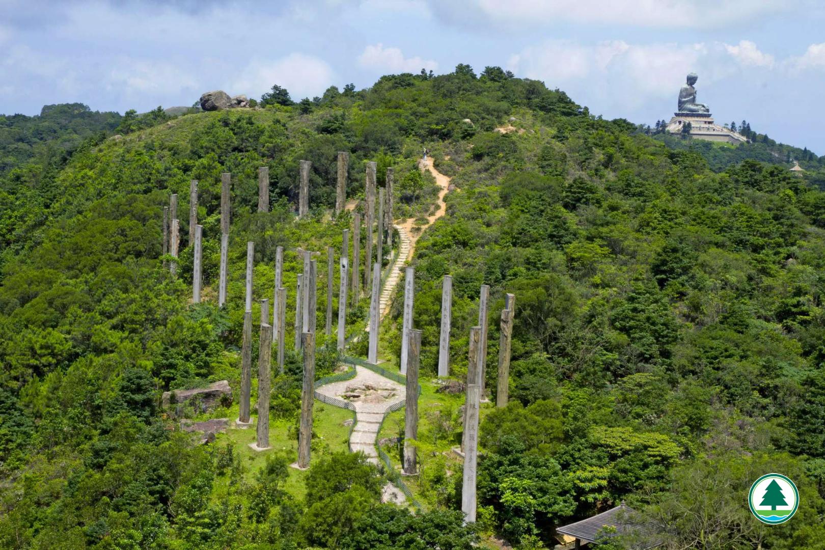 由38支巨型木柱排成無限符號的「心經簡林」，柱上刻有由著名國學家饒宗頤教授親筆題寫的《心經》，具宗教色彩之餘亦配合郊野環境。