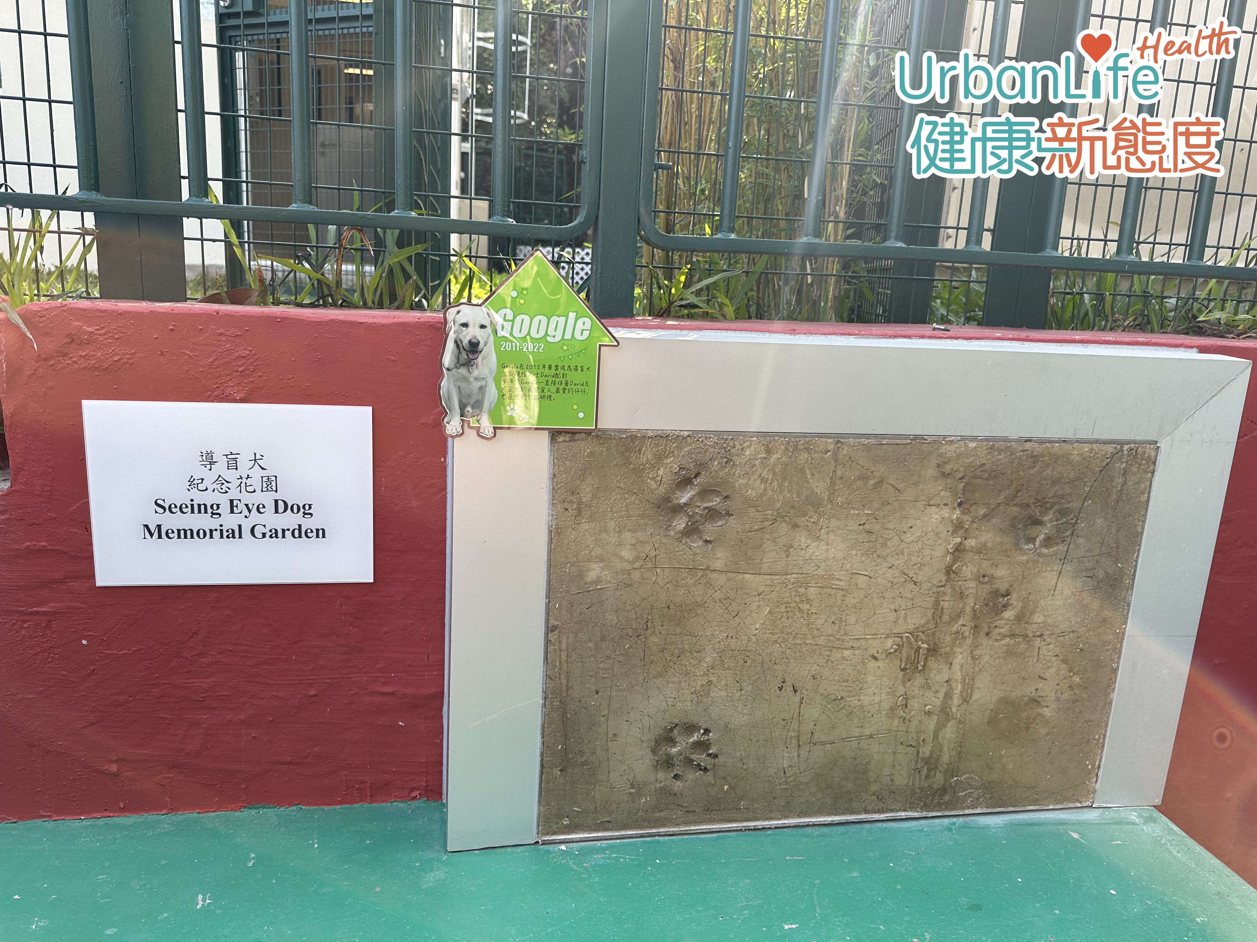 「紀念花園」一旁擺設本港首隻導盲犬Google的紀念碑,上面有牠的腳印。