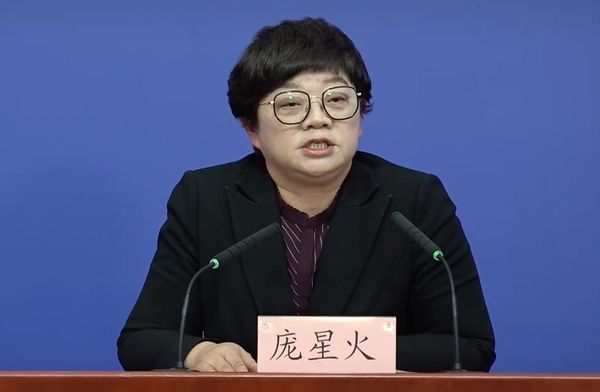 北京疾控中心副主任、全國新型冠狀病毒肺炎專家組成員龐星火 。