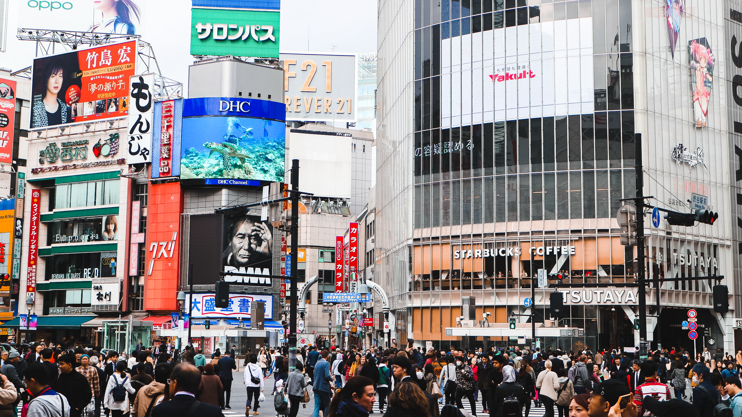 港人時隔3年,終於可以「返鄉下」!