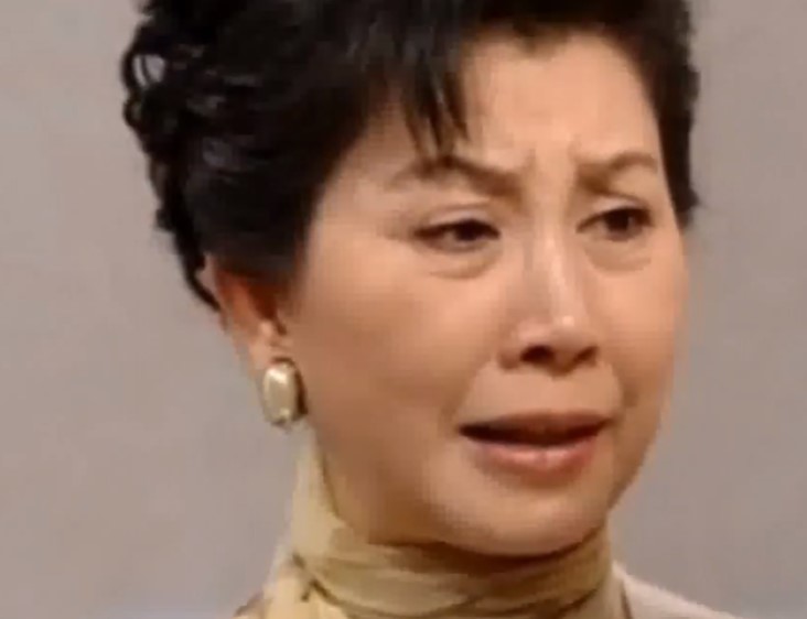在《真情》飾演高校長。