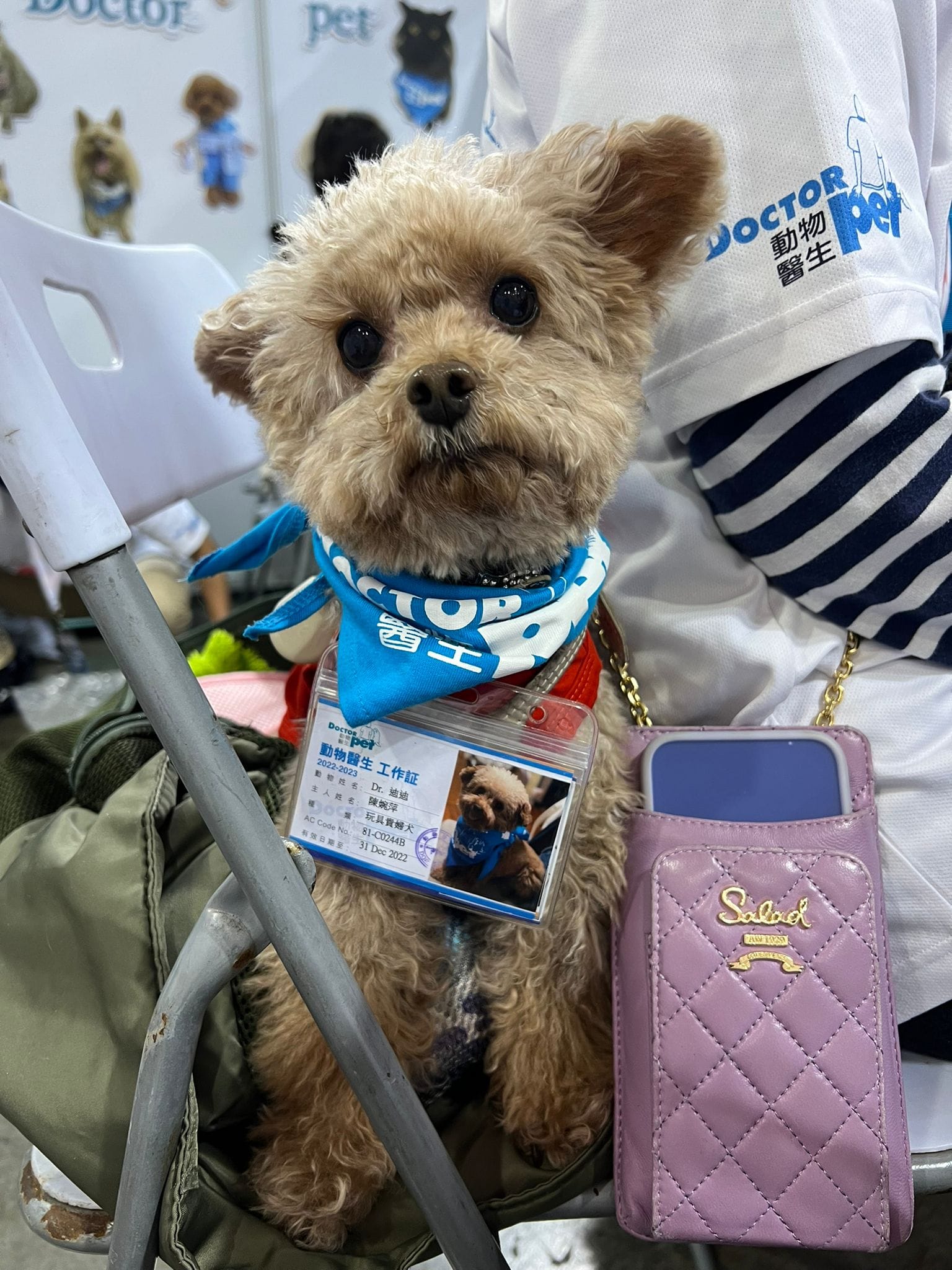 動物醫生會聯合不同機構，包括醫院、護老院、學校、兒童中心等合作。