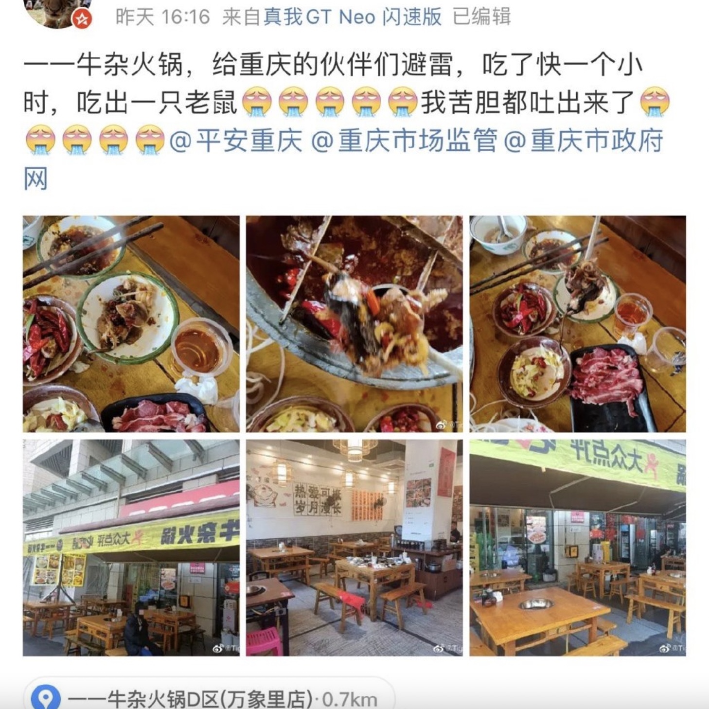 近日內地有一位網友在外出吃火鍋時,竟在火鍋內看到一隻完整、已經煮到爛的「老鼠」!