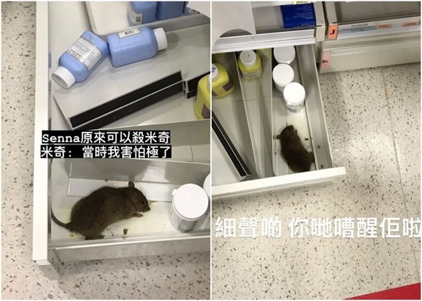 網上近日流傳照片,指有醫院的藥房有老鼠出沒。
