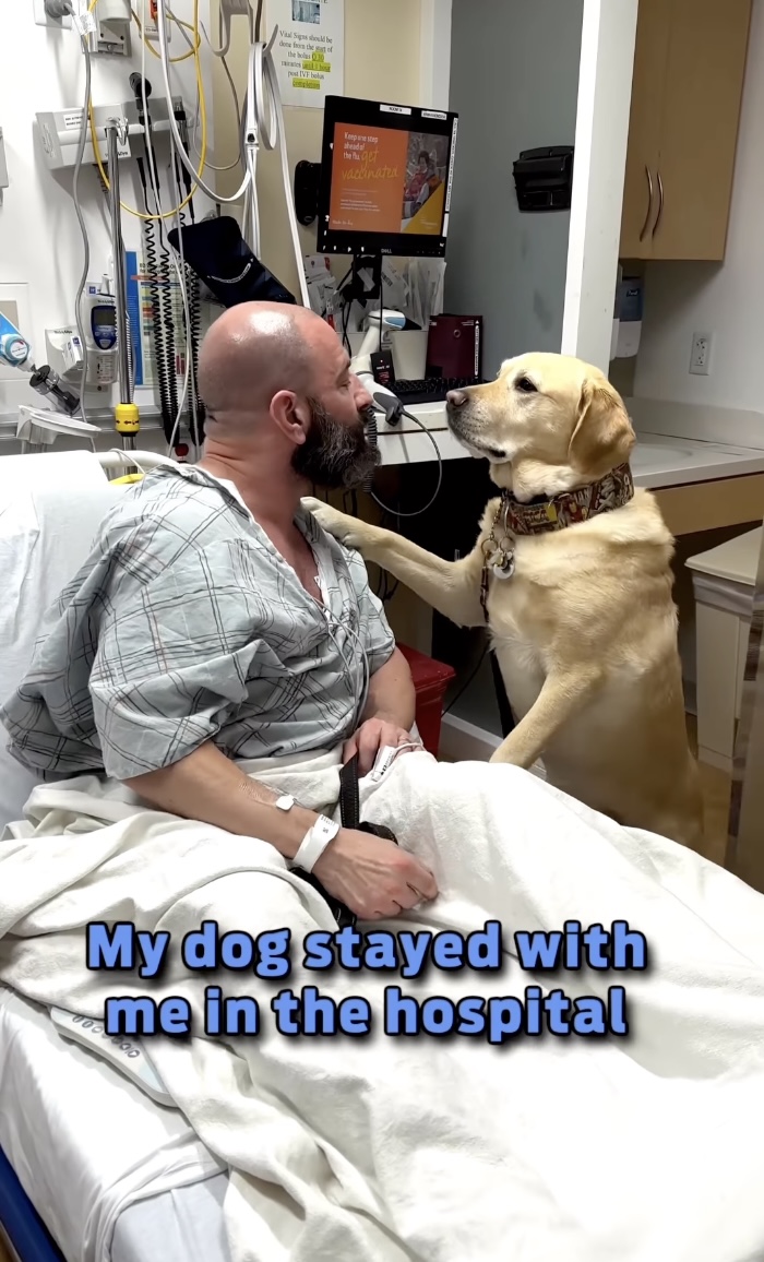 美國一名男子因患心臟病住院治療,期間愛犬一直陪伴著他。