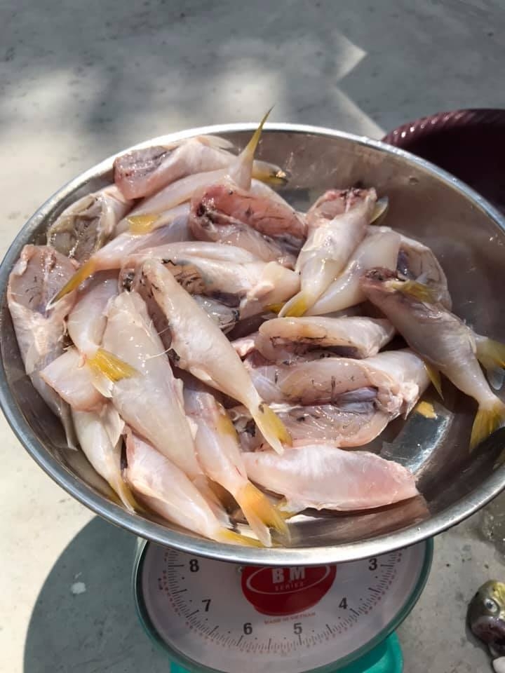 馬來西亞近日發生一宗疑誤食「雞腿魚」致食物中毒一死一重傷的悲劇。（示意圖）