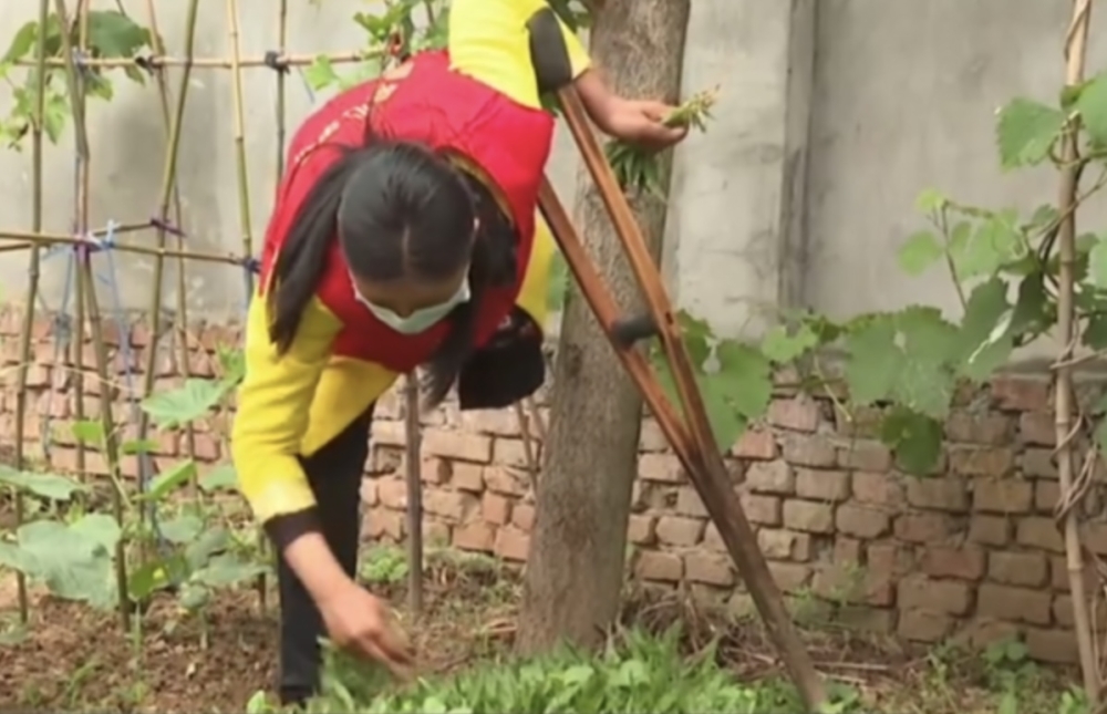 自行種菜補貼開支。