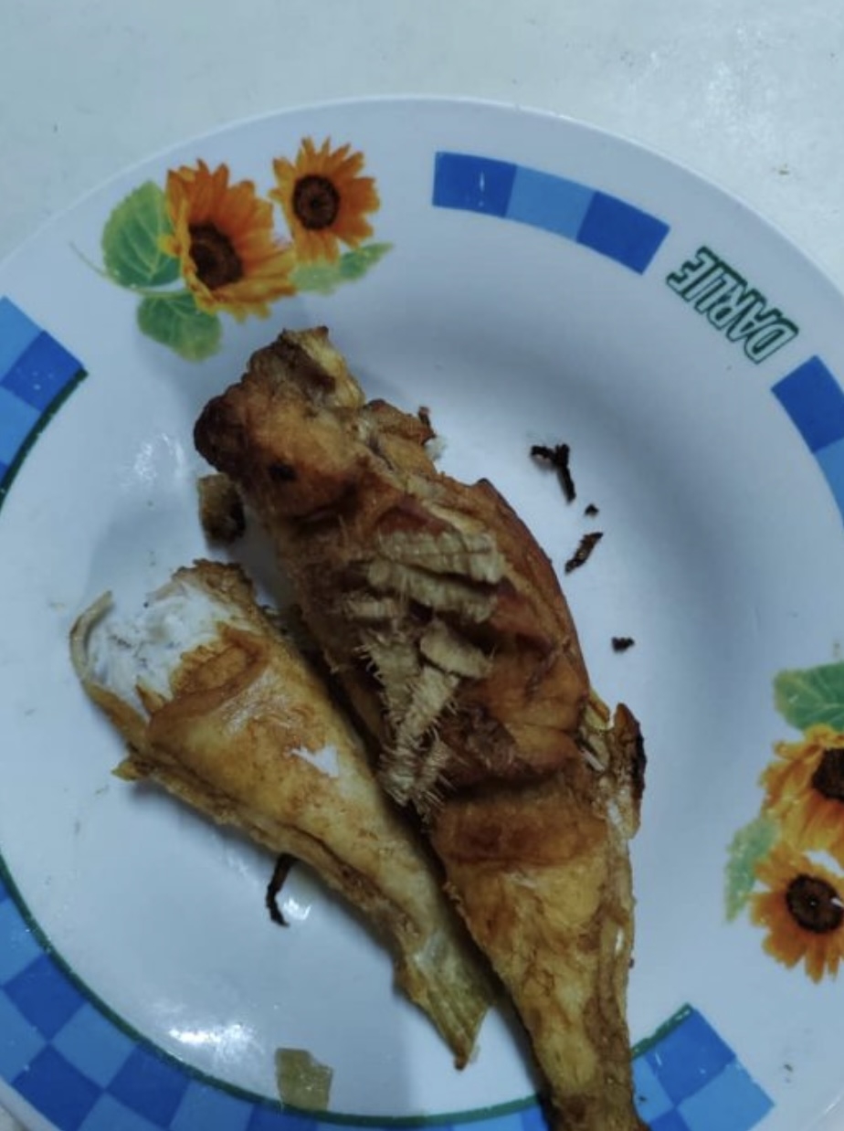 大馬夫婦當天中午直接炸來當午餐吃。