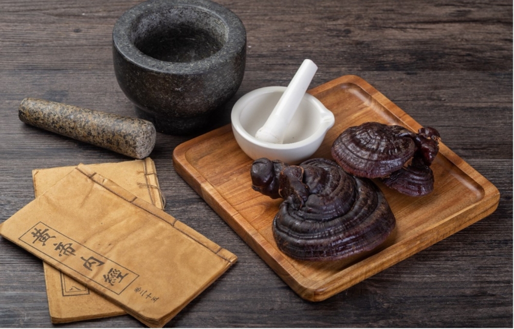 靈芝具「仙草」美譽,其高藥用價值,令不少人選擇服用靈芝保健品作日常調理健康之用。