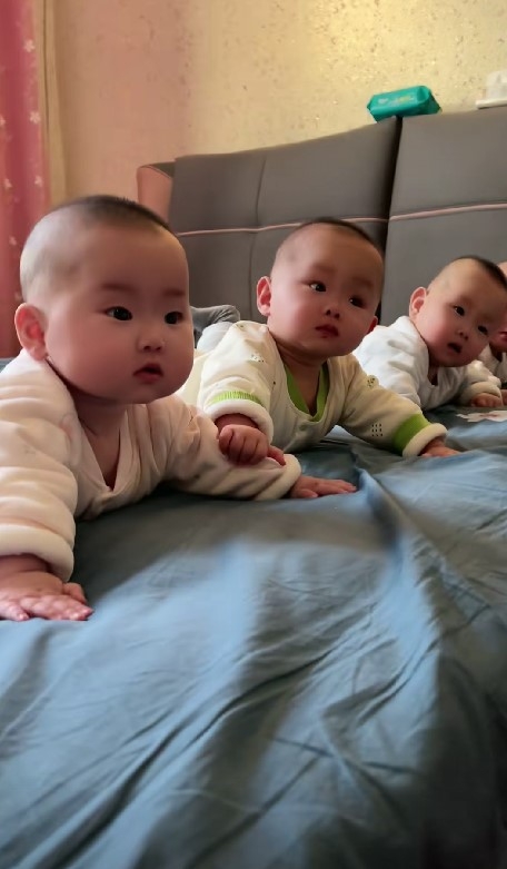 31歲郝姓女子去年生下龍鳳4胞胎,不時在社交媒體上分享自己的育兒心得與BB的成長過程。