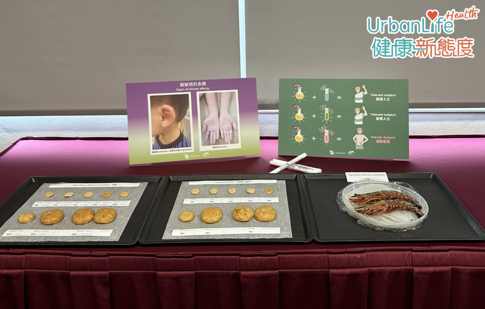 不少人食到貝殼類海鮮,就會出現過敏反應,當中蝦是最普遍引起敏感的海鮮之一。