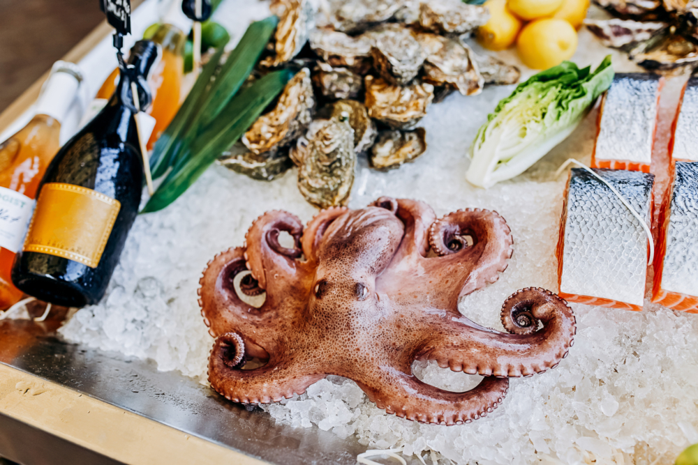 發現「腫塊」是一整隻完整的章魚卡在其中，而且章魚的吸盤距離胃部僅5公分的位置。