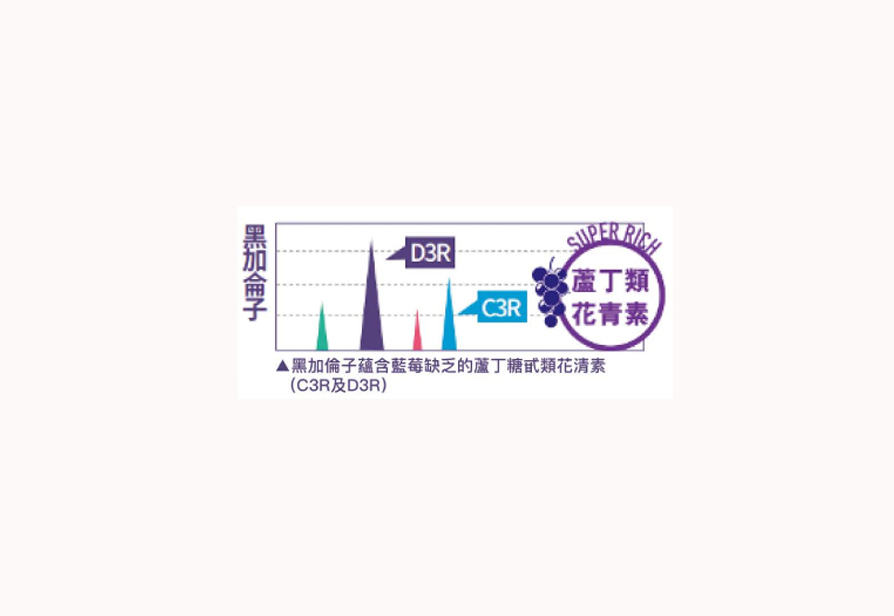 日本著名大學研究顯示,黑加侖子比藍莓含更高濃度D3R及C3R花青素,有強大抗氧化力。