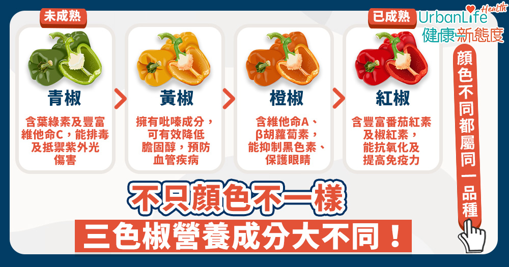 三色椒不只顔色不一樣,其中的營養成分也有大不同!