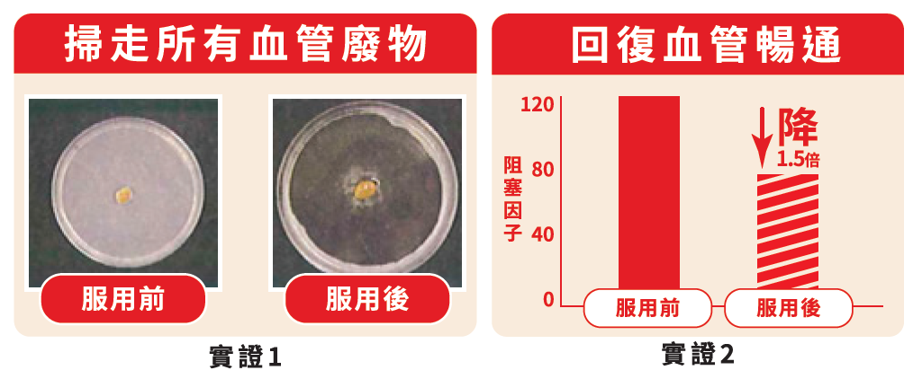 納豆所蘊含的納豆激酶是清除血管垃圾的天然成分,世界多項研究^已證實納豆激酶的功效,日本人每天吃納豆,有助保持血管健康。