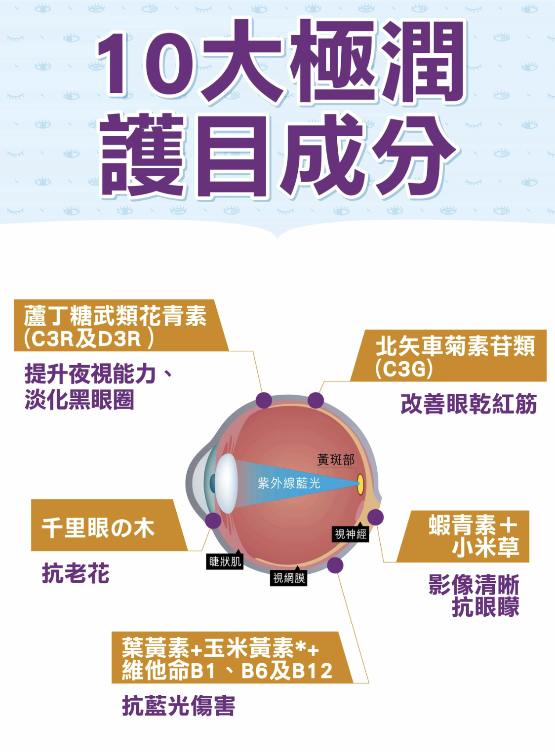 Return護目養潤配方10大護目成分