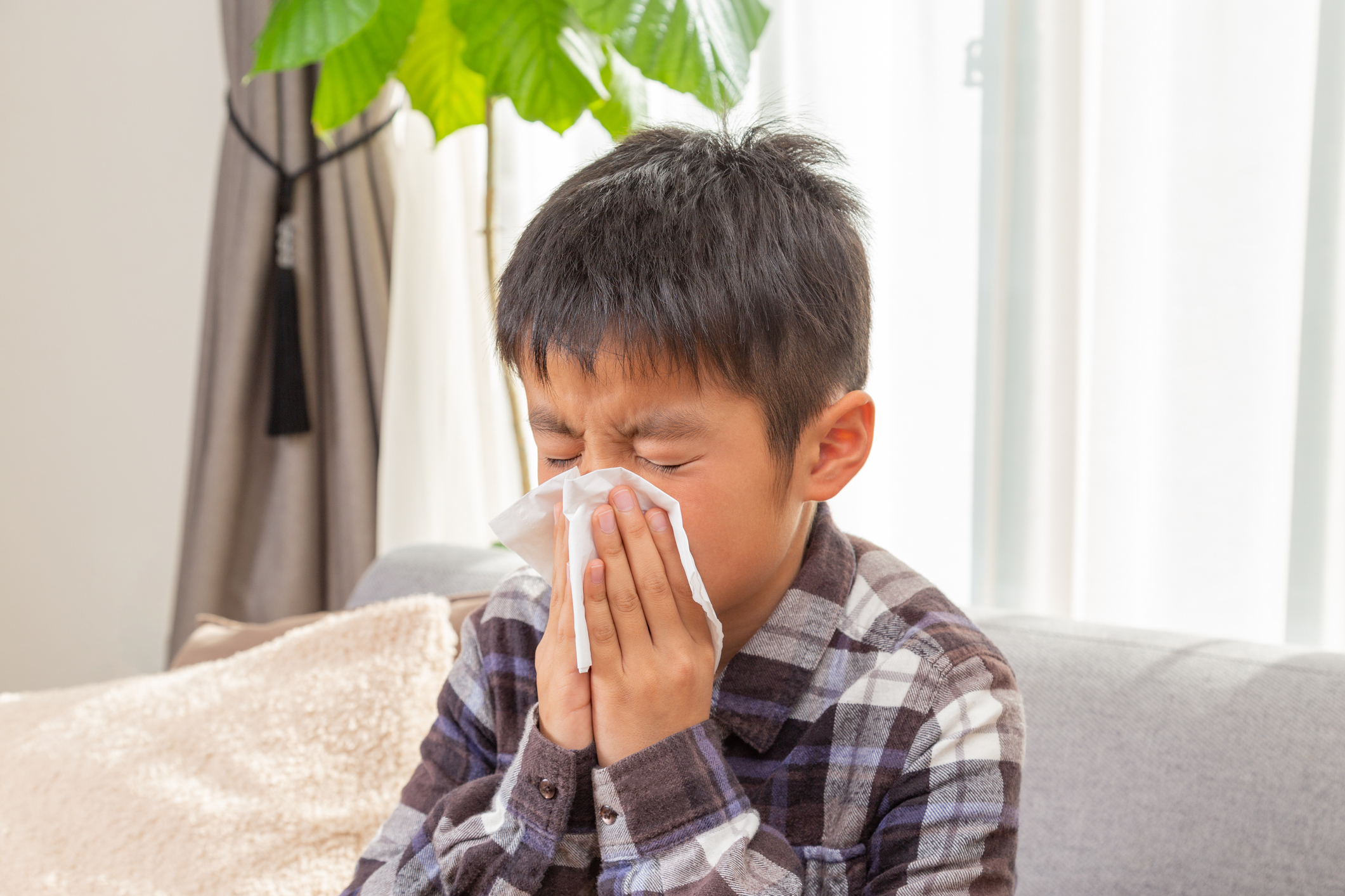 北京大學人民醫院耳鼻咽喉科的主任醫生邢志敏指出,「生活中,不能隨便往鼻孔裡塞東西,一是有細菌,二是會破壞鼻黏膜」。