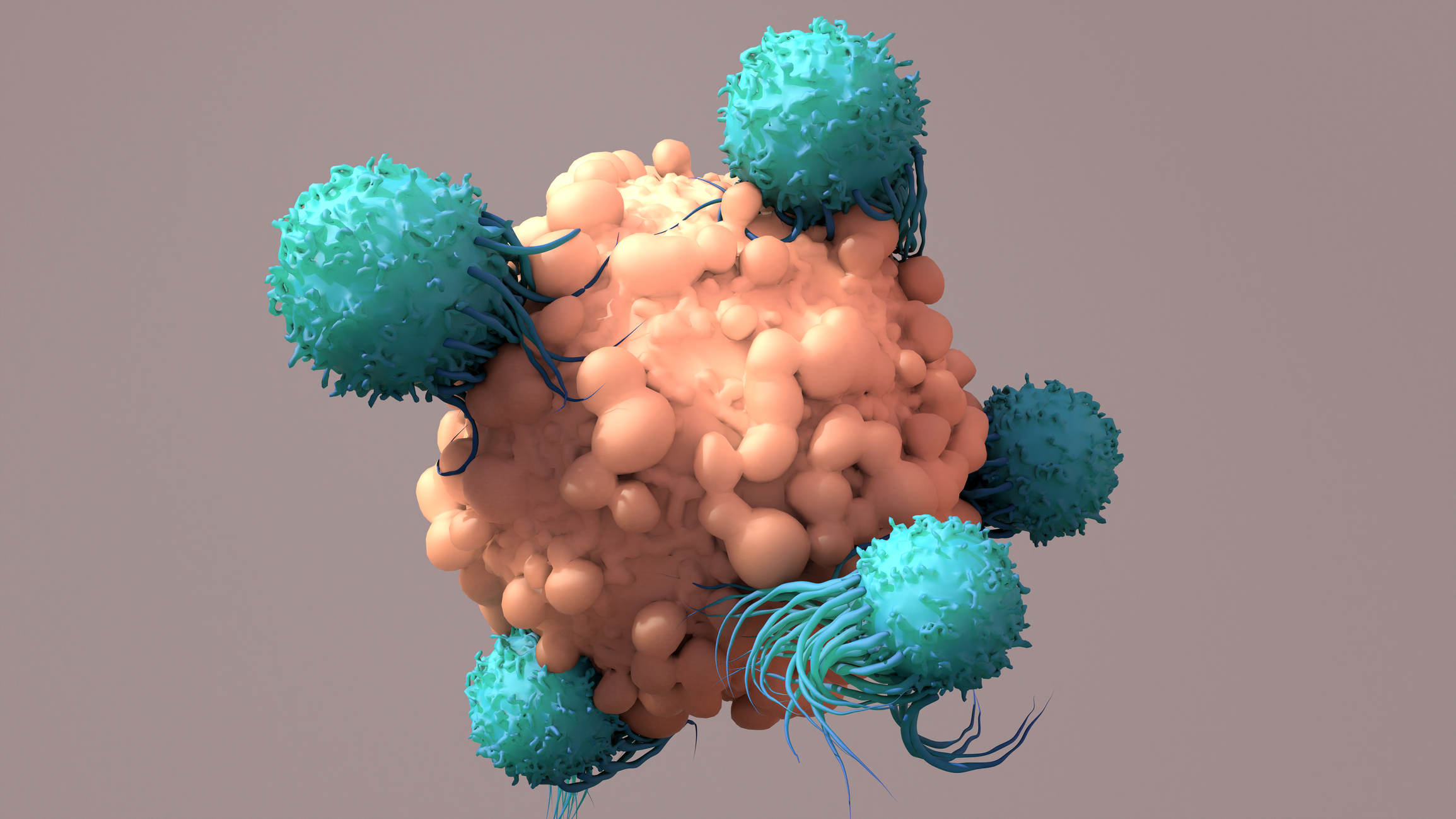 免疫檢查點抑制劑(Checkpoint inhibitors)能阻止癌細胞繼續阻礙T細胞的免疫系統,並同時重新激活T細胞,使癌細胞不能逃脫免疫治療攻擊。