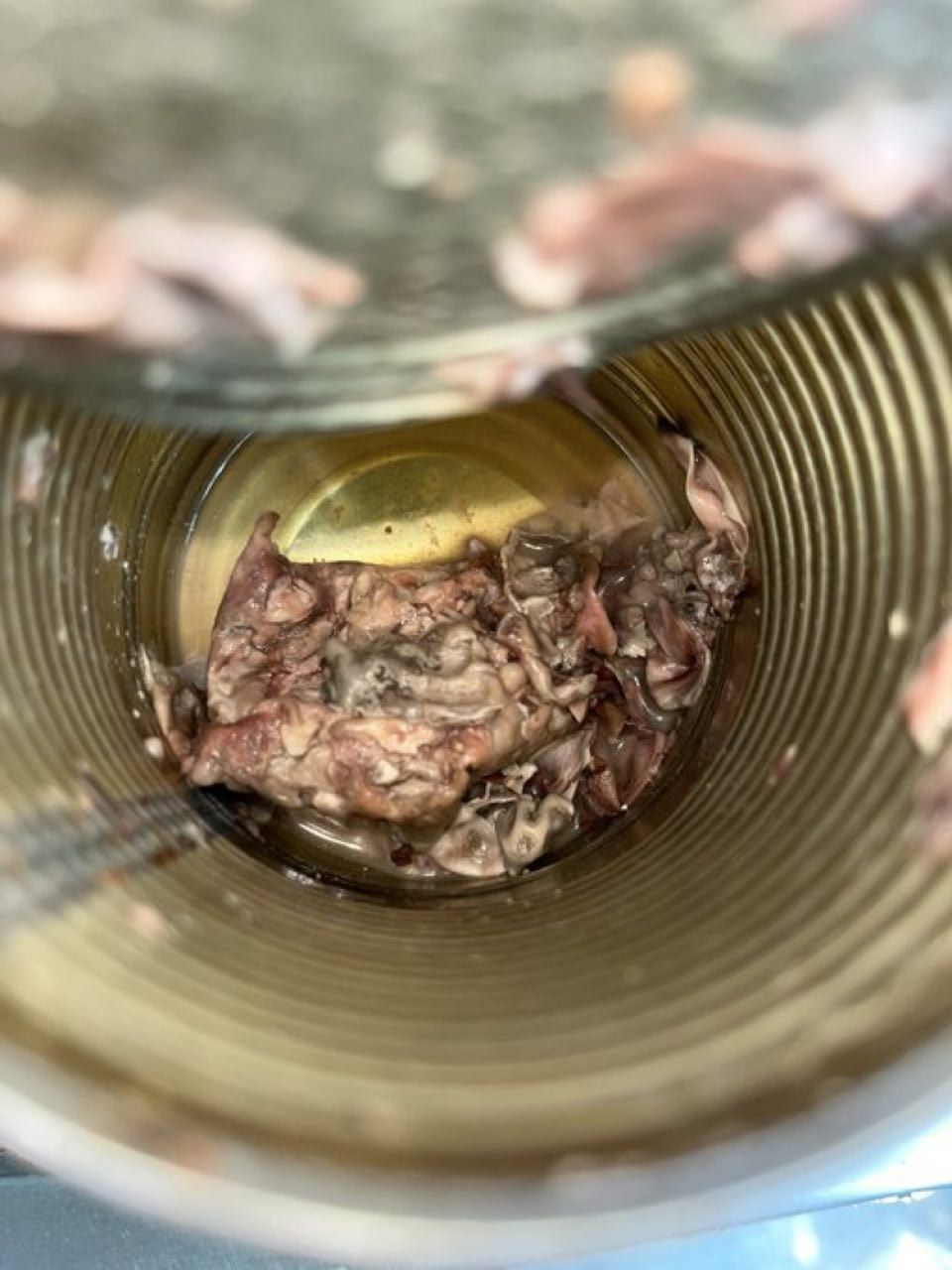 在打開罐頭後發現裡面竟然有一塊肉色的物體,仔細看才驚覺是動物的腐爛屍體,而且內臟還清晰可見。