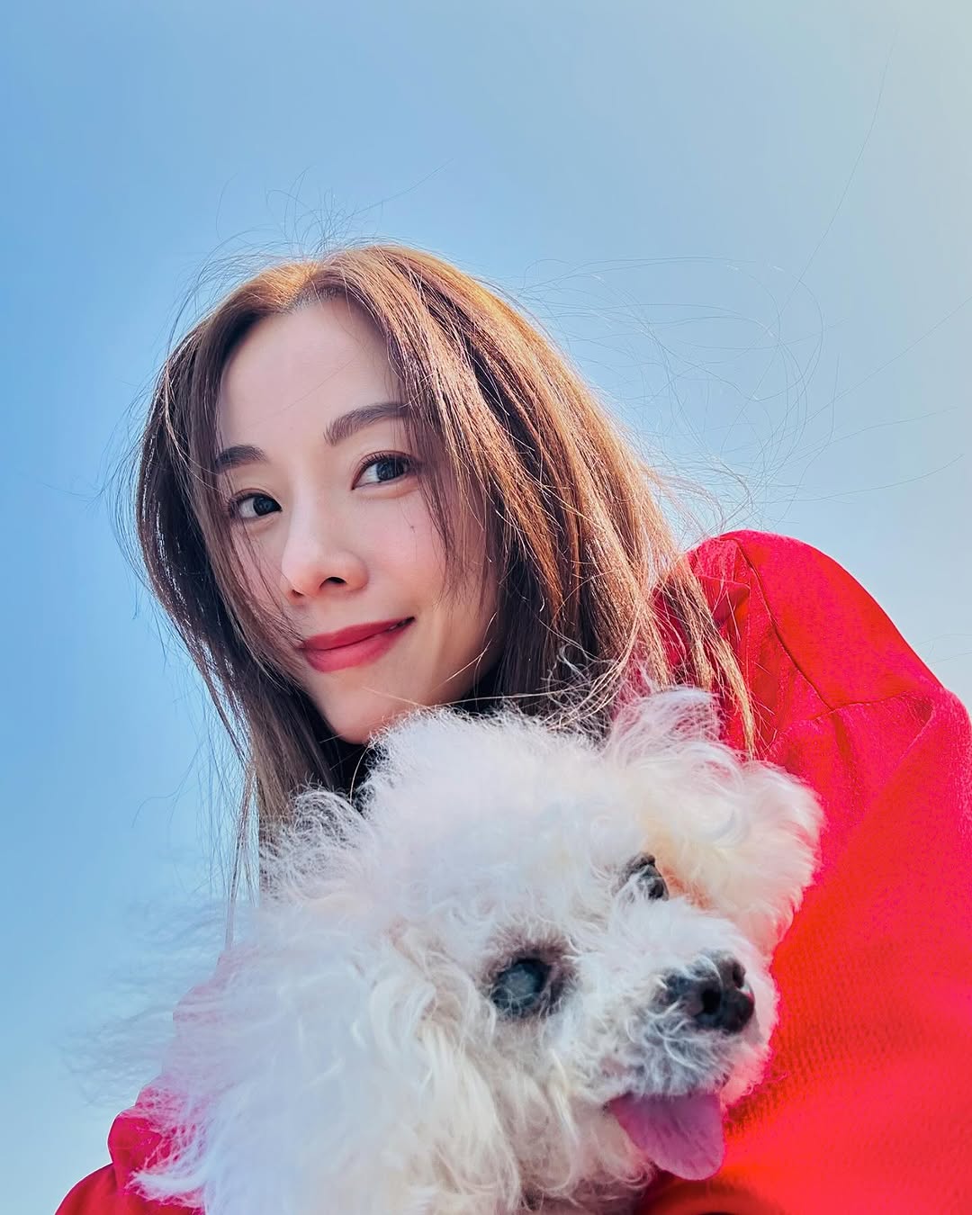 屬豬藝人代表:鄧麗欣。