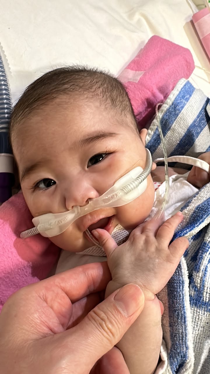 醫管局17日凌晨公布,在內地各部委及醫療機構的大力支持和努力下,獲內地跨境器官捐贈,成功為祈祈完成心臟移植手術。