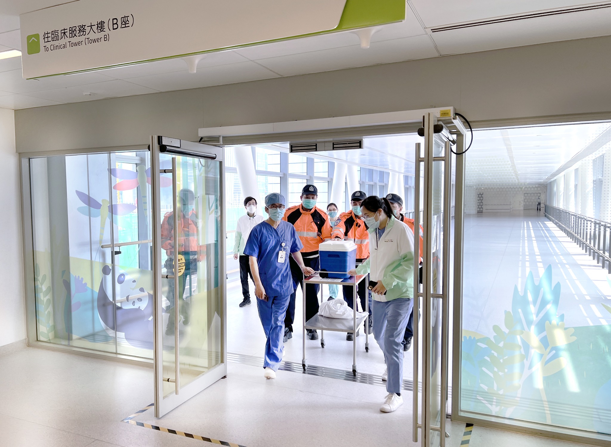 醫務衞生局和醫管局表示,非常感謝捐贈者家屬的大愛,無私奉獻捐出離世病人的心臟延續了祈祈的生命,並祝願祈祈早日康復,稱醫療團隊會盡力因應她的臨床情況及醫療需要,提供合適的治療。